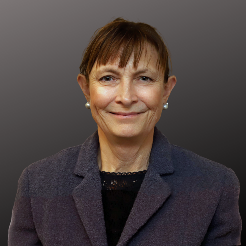 Head and shoulders shot of Karen Kerr, who is wearing earrings and a dark blazer.